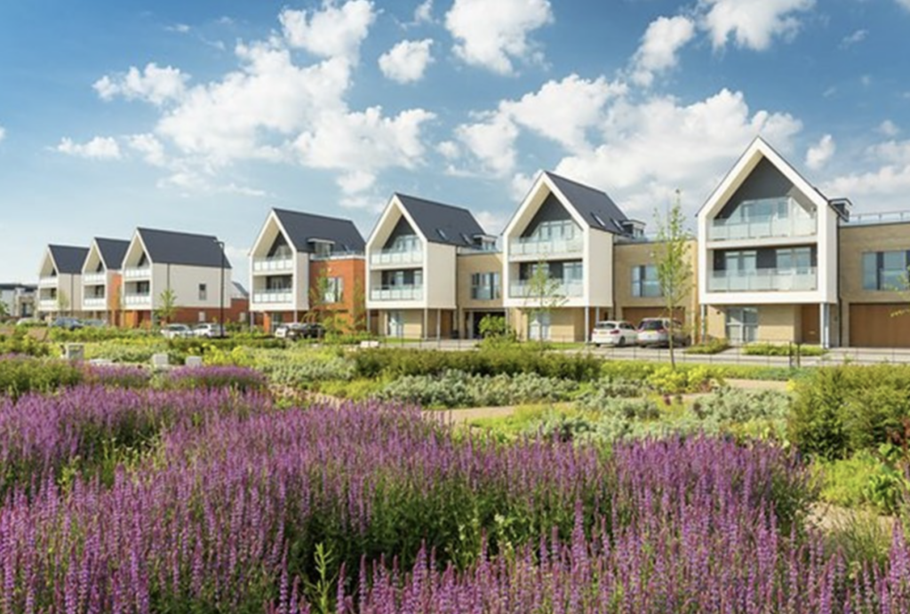 Recent Fairmead project 3